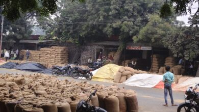 ज्यादा बारिश होने के कारण किसान परेशान