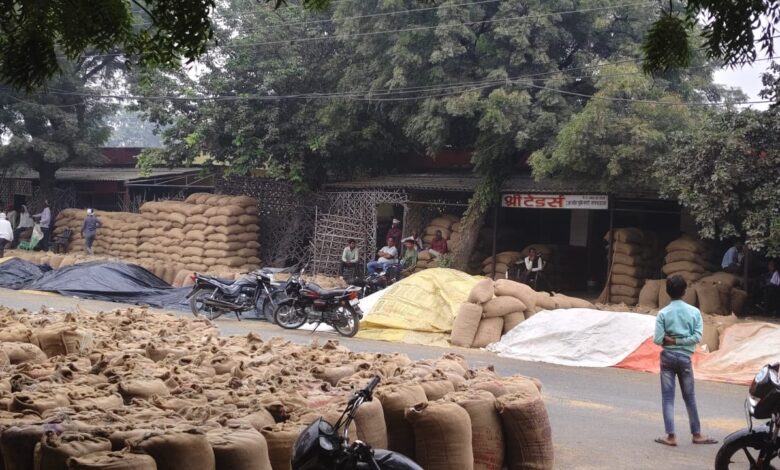 ज्यादा बारिश होने के कारण किसान परेशान