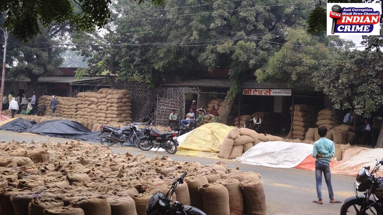 ज्यादा बारिश होने के कारण किसान परेशान 