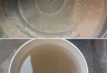 पब्लिक है परेशान नगर में गंदा पानी नगर पालिका से सप्लाई