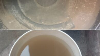 पब्लिक है परेशान नगर में गंदा पानी नगर पालिका से सप्लाई