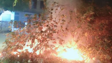 खाली प्लाट में लगी आग समय रहते बुझाई गई